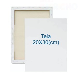TELA P/PINTURA 20X30CM