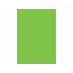 PAPEL COLORSET VERDE CLARO 48CM X 66CM 110G